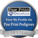 Goldendoodle and Bernedoodle Puppies Puppy Paw Print Genetics